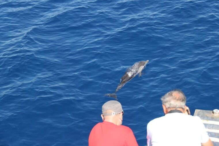 varazze-pelagos-sanctuary-wildlife-cruise-with-guide