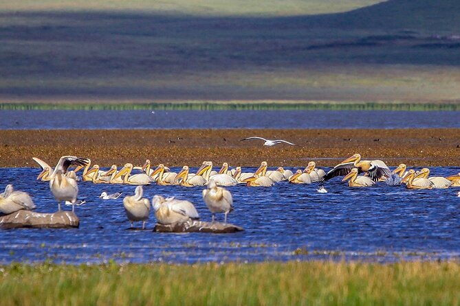 vardzia-lake-paravani-khertvisi-lomisa-castle-rabati