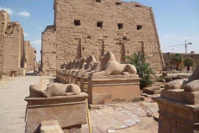Various tours in Hurghada -Airport Transfer-Tours to Luxor, Cairo - The Sum Up