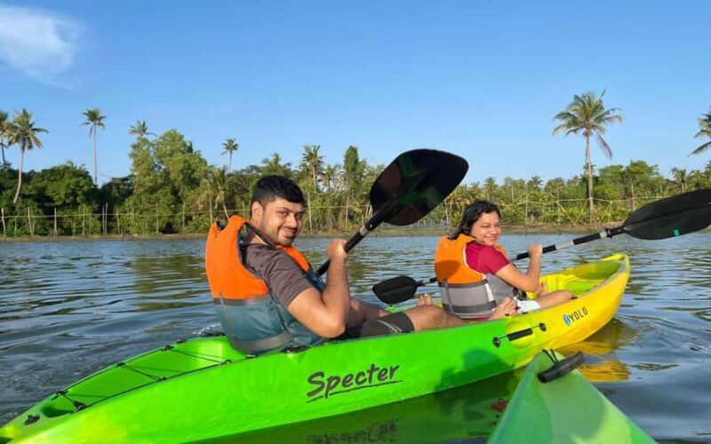 Varkala Mangrove Backwater Kayaking Trip from Trivandrum - Key Points