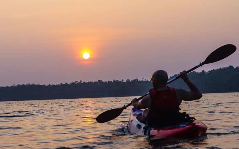 Varkala Mangrove Backwater Kayaking Trip from Trivandrum - Detailed Review of the Varkala Mangrove Backwater Kayaking Trip