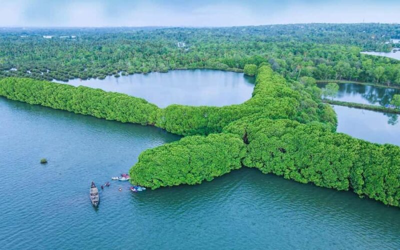 Varkala Mangrove Backwater Kayaking Trip from Trivandrum - FAQ