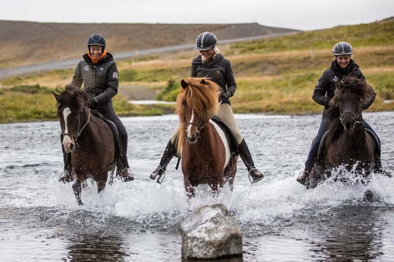 Varmahlid: 1-Hour Icelandic Horse Riding Tour - What to Expect from Your Icelandic Horseback Ride