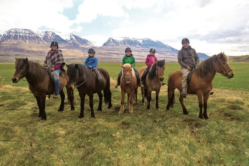 Varmahlid: 1-Hour Icelandic Horse Riding Tour - Practical Details and Tips