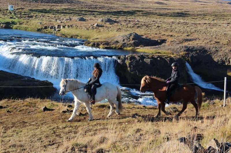 Varmahlid: Viking Horse Riding Tour - The Experience: What to Expect on the Viking Horse Riding Tour