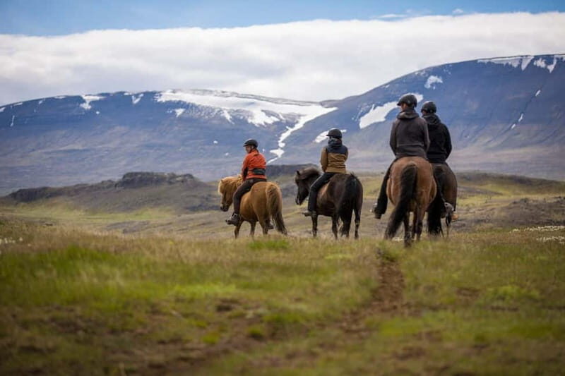Varmahlid: Viking Horse Riding Tour - Practical Details: What You Need to Know