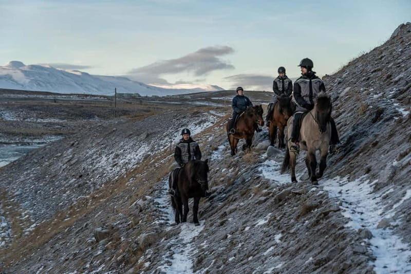 Varmahlid: Viking Horse Riding Tour - Who Would Love This Tour?