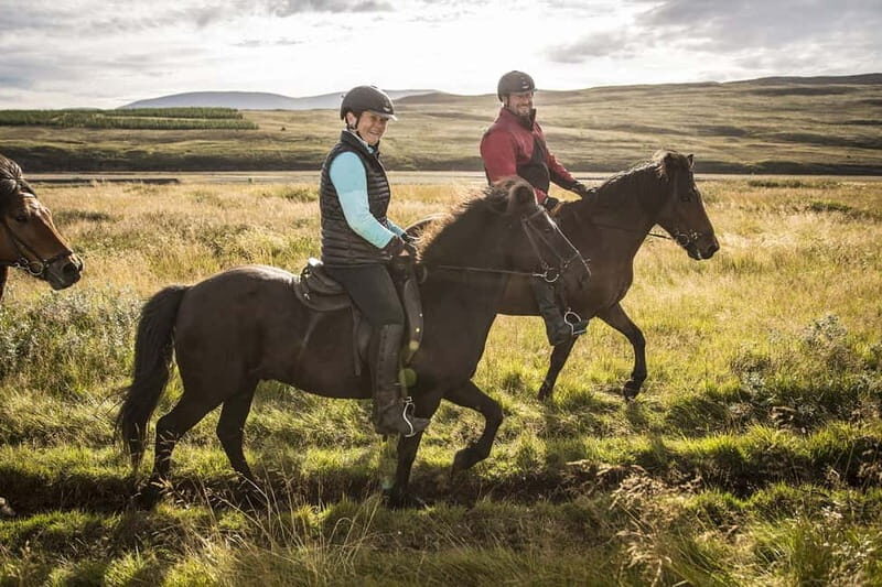 Varmahlid: Viking Horse Riding Tour - Final Thoughts: Is It Worth It?