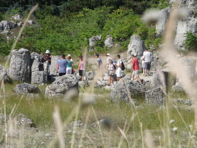 Varna: Guided VIP Tour - Transportation and Comfort