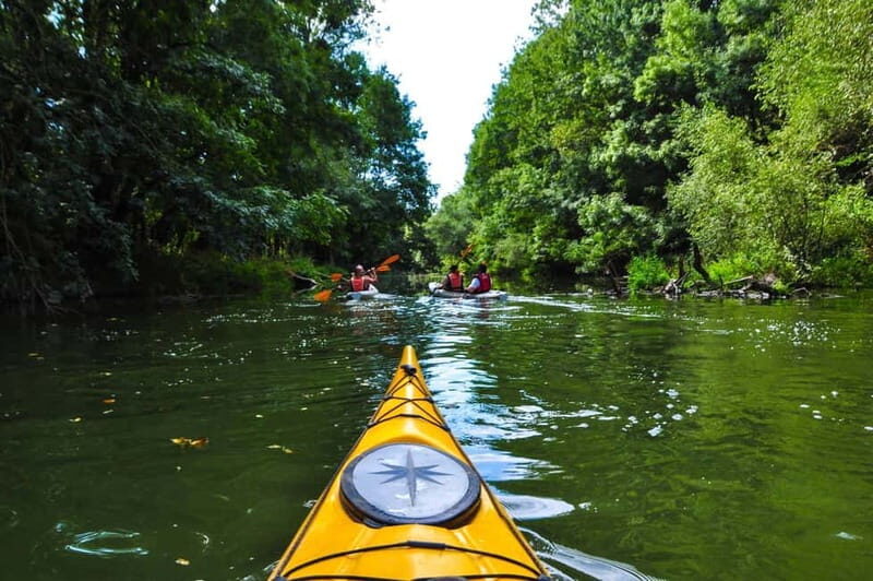 Varna: Kamchia River Kayaking Day Tour - FAQ