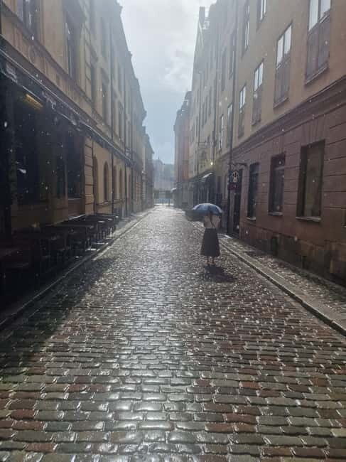 Vasa Museum and Icebar Stockholm - Practical Tips for the Tour