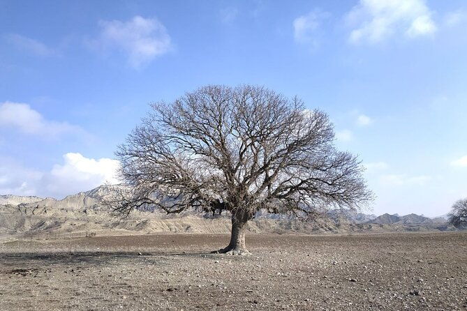 vashlovani-national-park-day-trip-from-tbilisi
