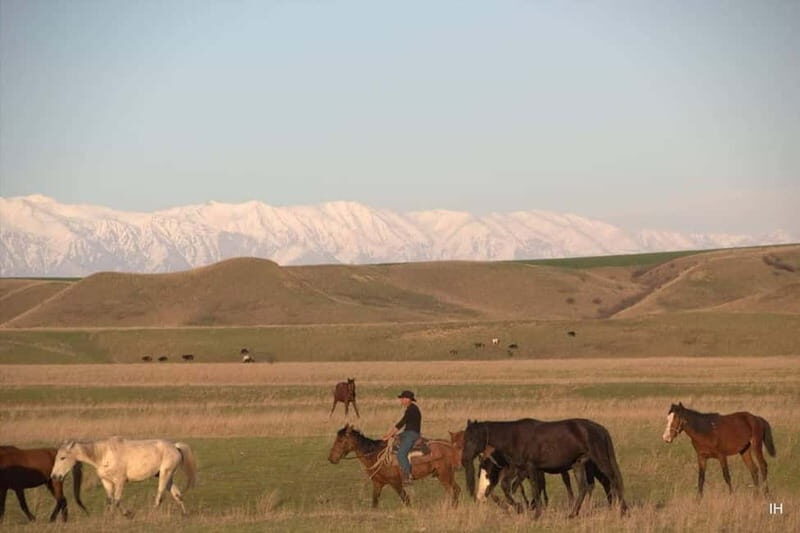 Vashlovani Nature Reserve: Horse Riding Tour - Why This Tour Offers Real Value