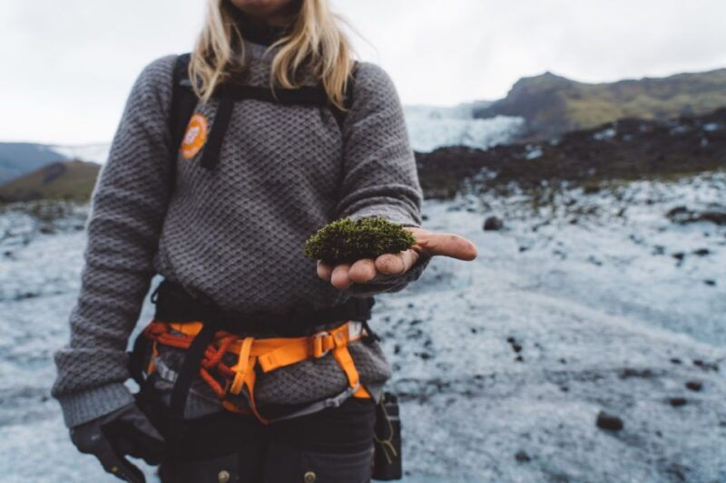 vatnajokull-short-glacier-encounter-walk-with-4x4-transfer