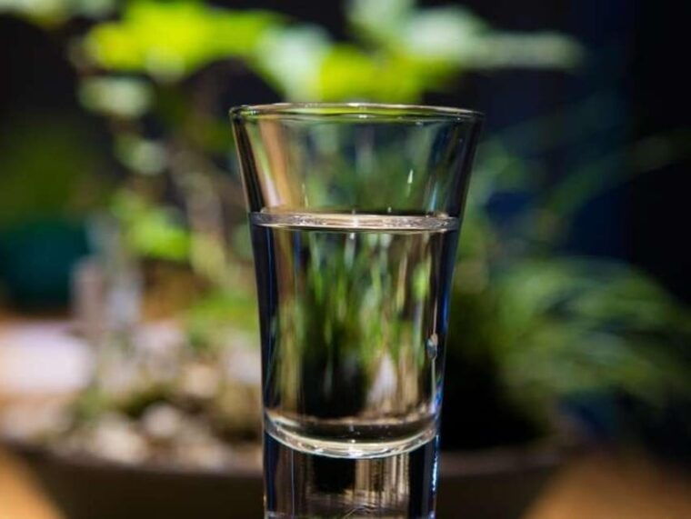 vegan-izakaya-72-types-of-japanese-sake-tasting-night-tour