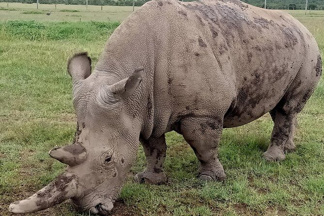 Vegans special safari - A Closer Look at the Itinerary