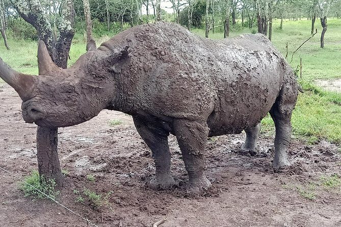 Vegans special safari - Who Will Love This Tour?  