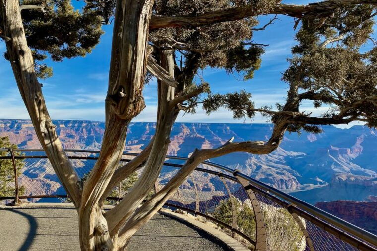 vegas-grand-canyon-national-park-south-w-lunch-free-wifi