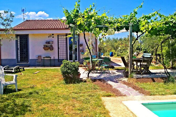 vegetarian-cooking-class-in-the-roman-countryside