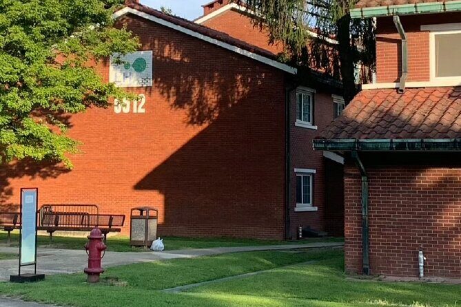 Vegetarian Seoul City Tour / Small Group / 8 Max - A Deep Dive into the Seoul Experience