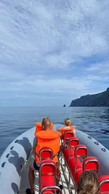 Velas: In the heart of Azores with whales and dolphins - The Value of the Experience
