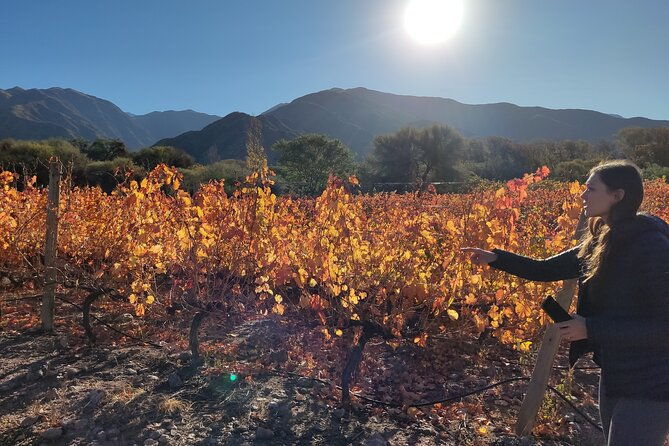 velazco-mountains-trekking