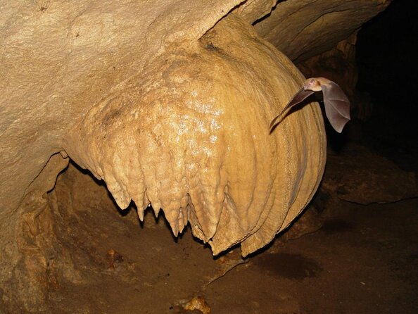 venado-caves
