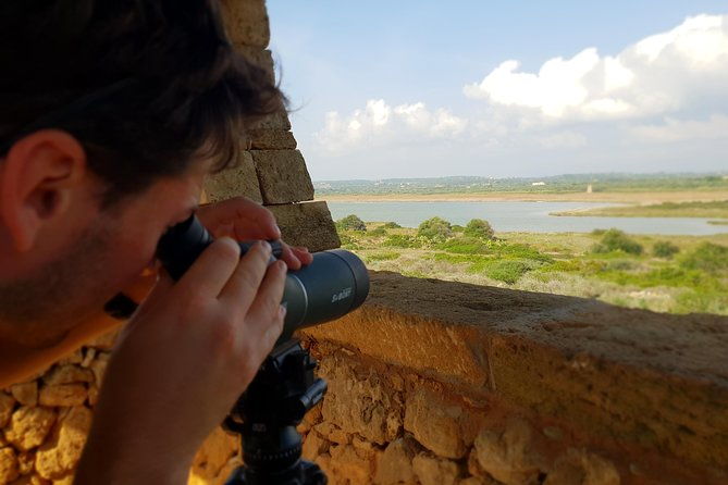 vendicari-sicilys-best-coast-nature-reserve-birdwatching-archeology