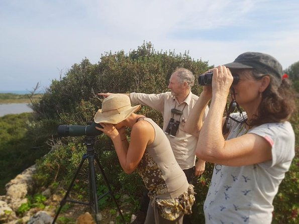 vendicari-sicilys-best-coast-nature-reserve-birdwatching-archeology