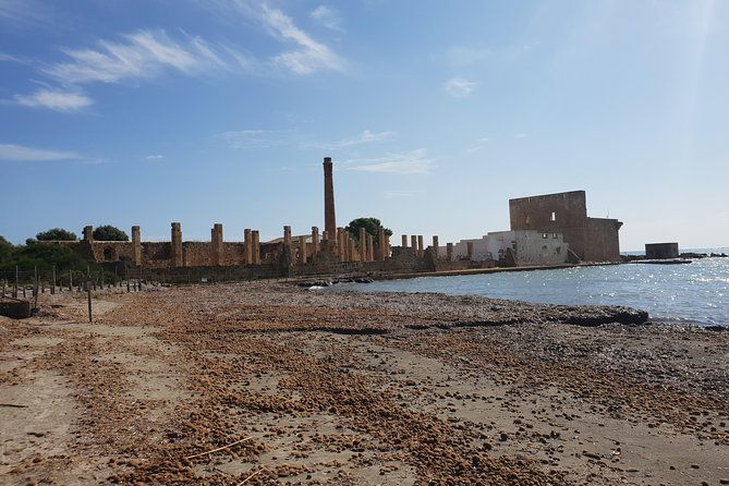 vendicari-sicilys-best-coast-nature-reserve-birdwatching-archeology