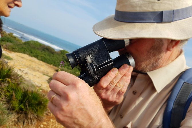 vendicari-sicilys-best-coast-nature-reserve-birdwatching-archeology