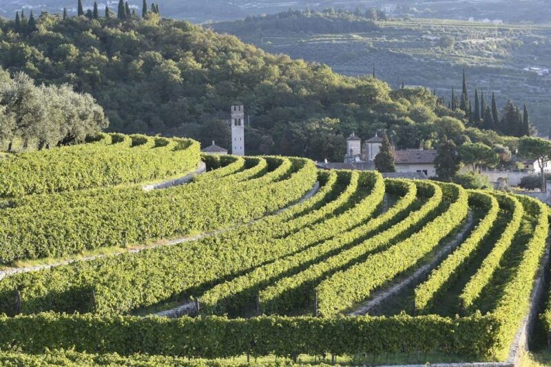 veneto-amarone-cooking-and-tasting-experience-in-a-villa
