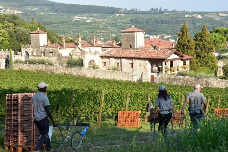 veneto-amarone-cooking-and-tasting-experience-in-a-villa