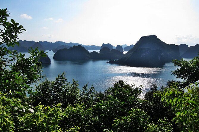 Venezia Cruise Halong Bay 3Days 2Night on 4 Star Cruise - Key Points