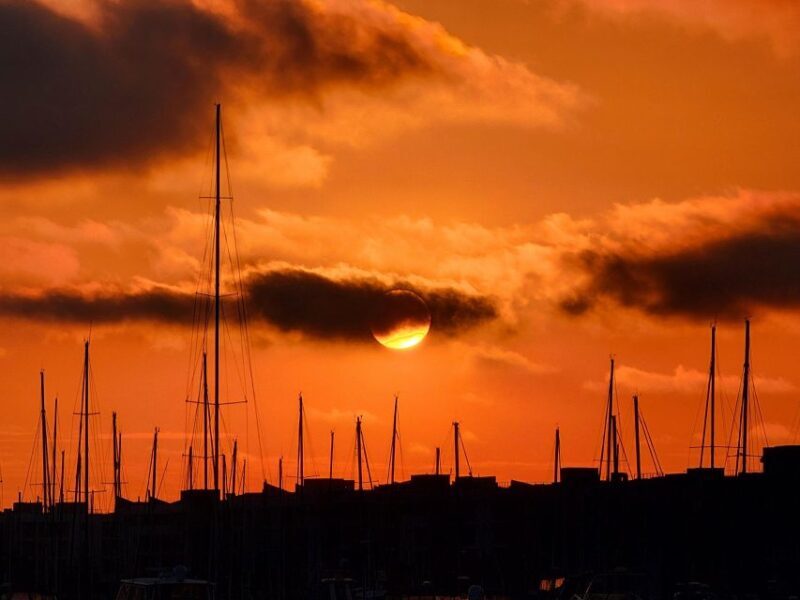 Venice Beach & Malibu View Boat Cruiser- Music Wine Sealions - What Sets This Tour Apart?