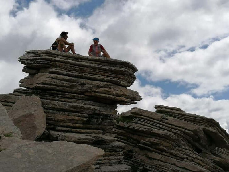VENICE : DISCOVER WILD ANIMALS IN THE DOLOMITES - Key Points