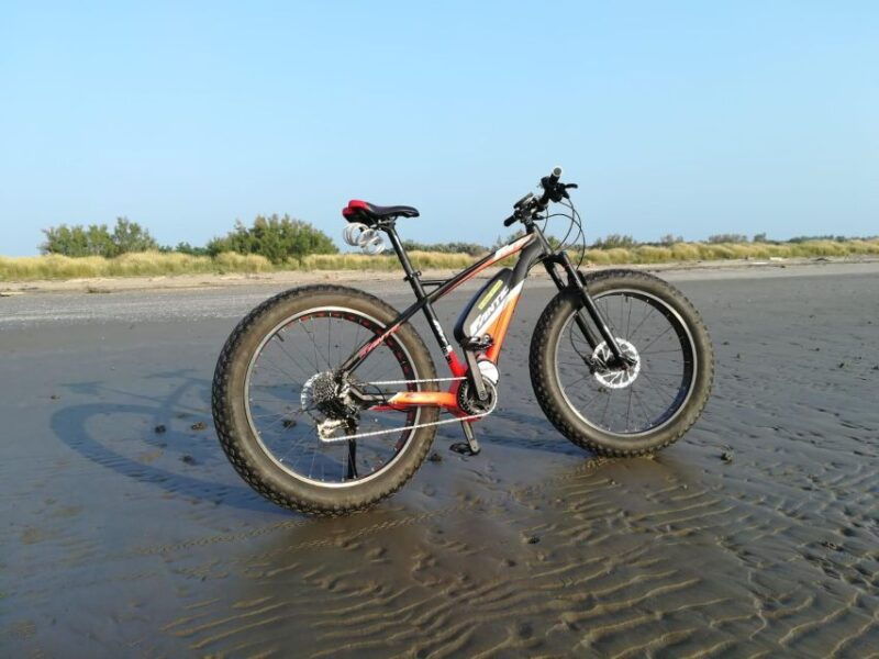 venice-e-bike-rental