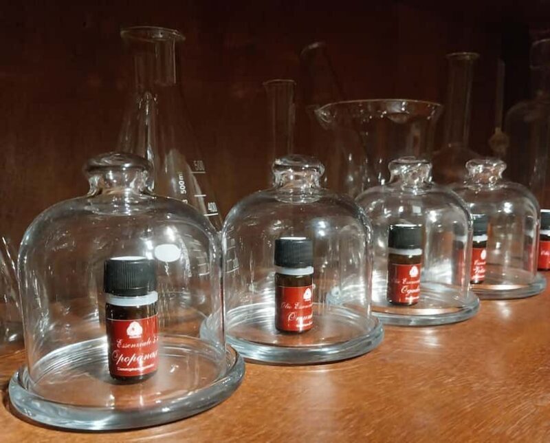 VENICE, FRANKINCENSE AND MYRRH! A JOURNEY ON AROMATICS TRADE - Key Points