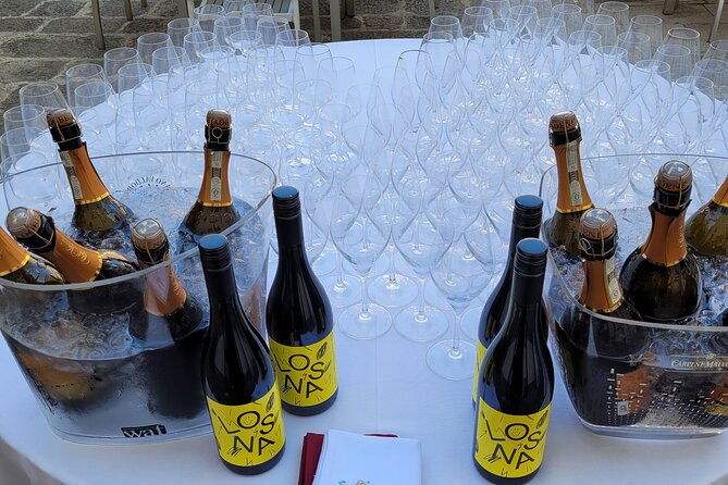 venice-like-a-local-vini-and-cichetti-at-liuba-and-hugos-home