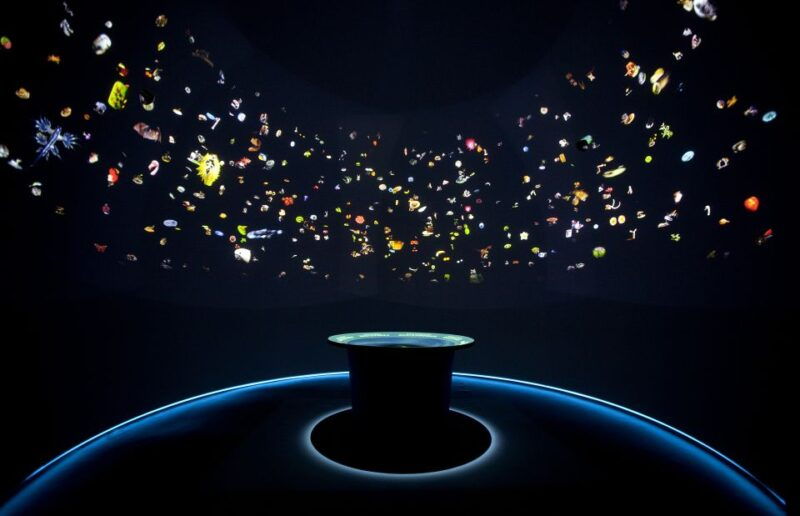 venice-natural-history-museum-entry-ticket