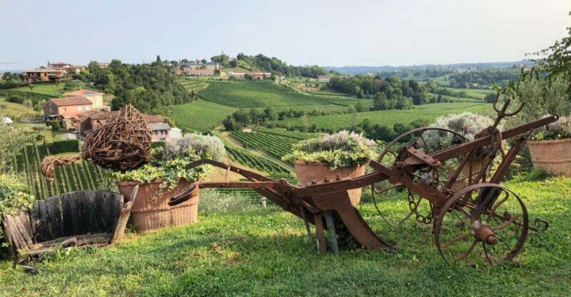 venice-prosecco-hills-wineries-tour-with-tastings-and-lunch