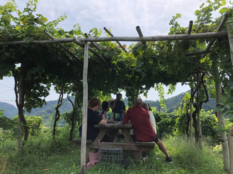 venice-prosecco-hills-wineries-tour-with-tastings-and-lunch