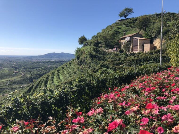 venice-prosecco-hills-wineries-tour-with-tastings-and-lunch