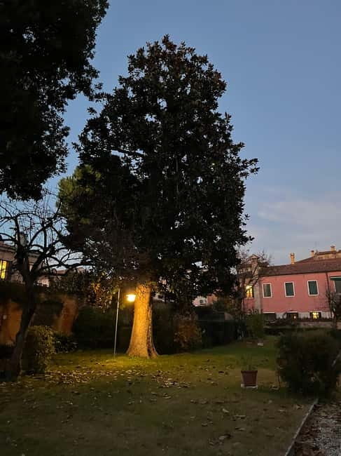 Venice: Sunrise Walking Tour with Espresso - Key Points