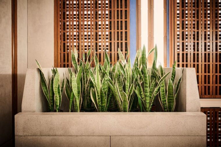 venice-tickets-to-negozio-olivetti