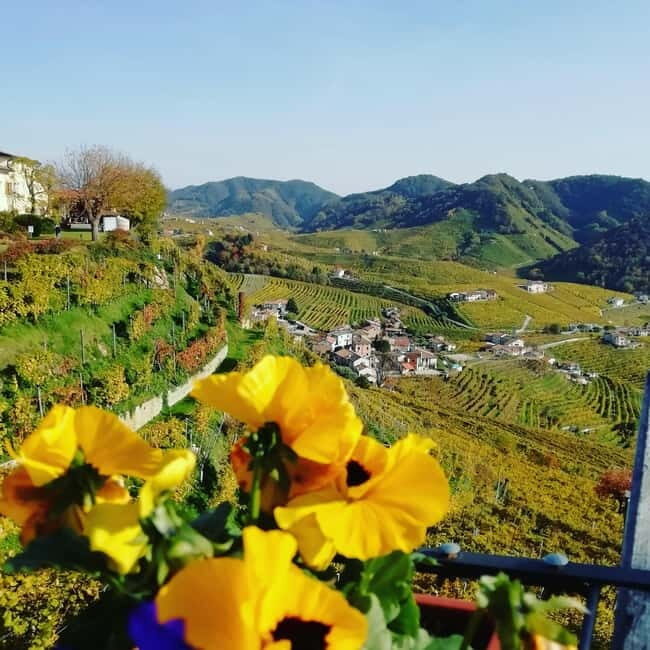 Venice: wine tour tasting along the Unesco Prosecco hills - A Detailed Look at the Experience