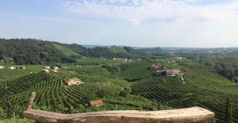 venice-wine-tour-tasting-along-the-unesco-prosecco-hills