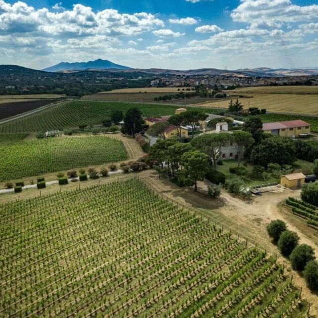 venosa-re-manfredi-winery-tour-with-tastings