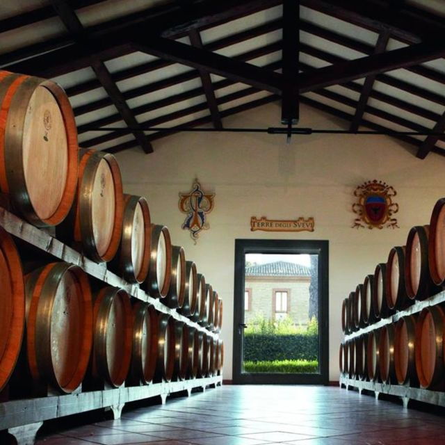 venosa-re-manfredi-winery-tour-with-tastings