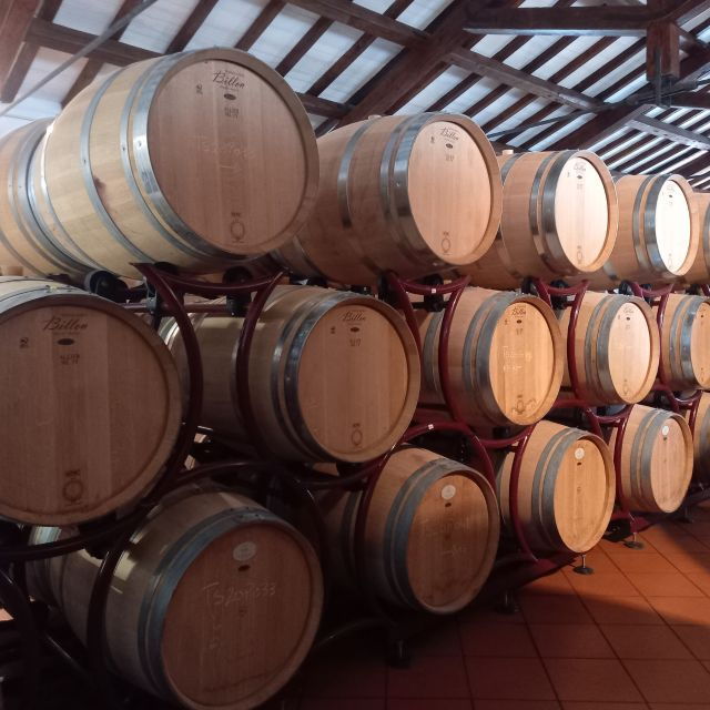 venosa-re-manfredi-winery-tour-with-tastings